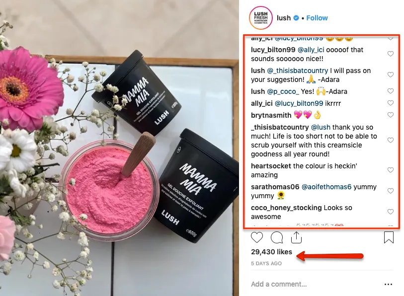 Lush Insta Post