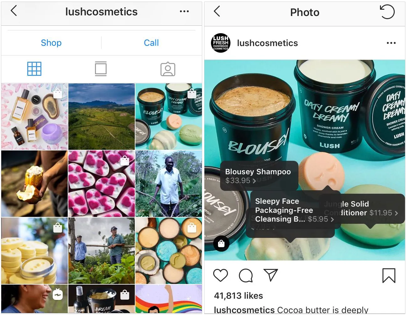 Lush Shoppable Insta