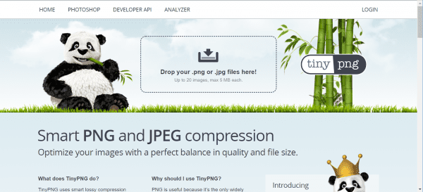 seo shopify product images - using tinyurl